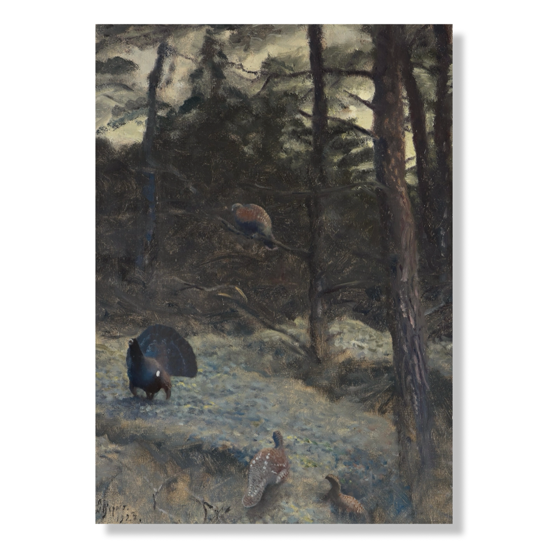 Capercaillie lek – Canvas Collection – Bild 3
